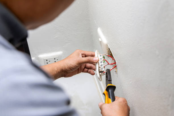 Best Electrical System Inspection  in Genola, UT